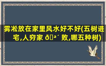雾凇放在家里风水好不好(五树进宅,人穷家 🪴 败,哪五种树)